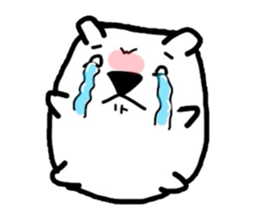 Polar Bear. Name Shirotama. sticker #2520195
