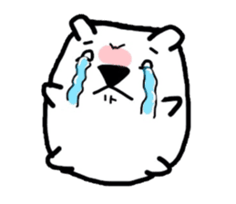 Polar Bear. Name Shirotama. sticker #2520195