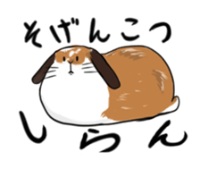 ooita rabitt sticker sticker #2521890