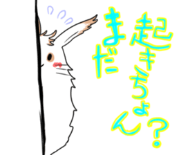 ooita rabitt sticker sticker #2521896