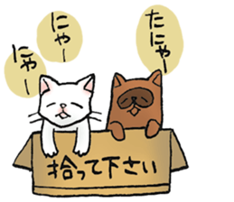 Boss of Raccoon dog sticker #2522428