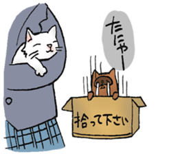 Boss of Raccoon dog sticker #2522429