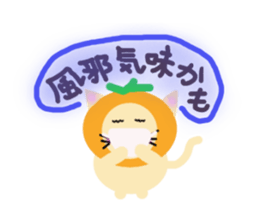 mandarin orange hat cat sticker #2522775