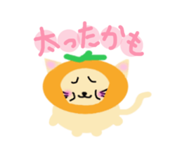 mandarin orange hat cat sticker #2522789