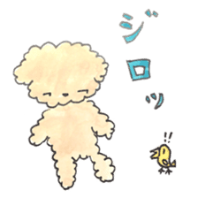 Daily life of the teacup poodle sticker #2524568