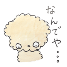 Daily life of the teacup poodle sticker #2524570