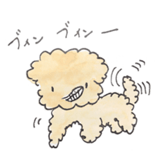 Daily life of the teacup poodle sticker #2524583