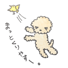 Daily life of the teacup poodle sticker #2524591