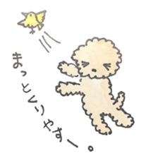 Daily life of the teacup poodle sticker #2524591
