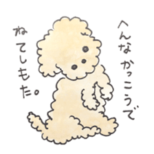 Daily life of the teacup poodle sticker #2524597