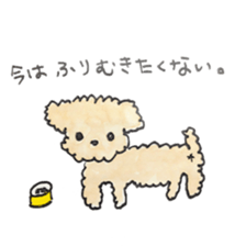 Daily life of the teacup poodle sticker #2524599