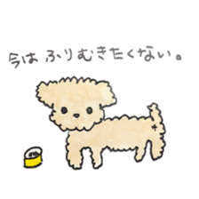 Daily life of the teacup poodle sticker #2524599