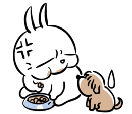 Mashimaro & Forest story sticker #2526662