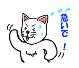 Pop of cat sticker #2527582