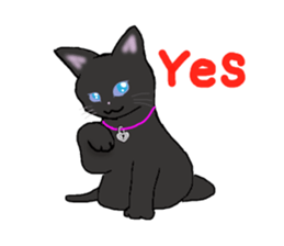 black cat lock sticker #2528984