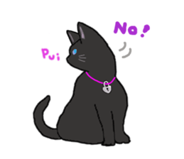 black cat lock sticker #2528985