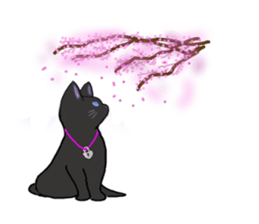 black cat lock sticker #2529011