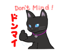 black cat lock sticker #2529019