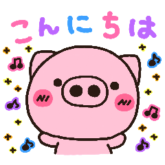 pig heart 14