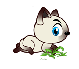 Siamese Cat@SK Farm (V.2) sticker #2531654