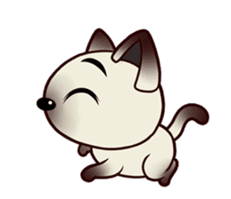 Siamese Cat@SK Farm (V.2) sticker #2531664