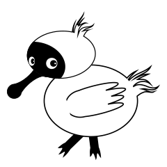 PumPum , the fat Black-faced Spoonbill