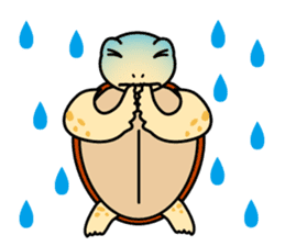 The baby sea turtles of Yakushima sticker #2533497