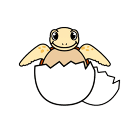 The baby sea turtles of Yakushima sticker #2533498