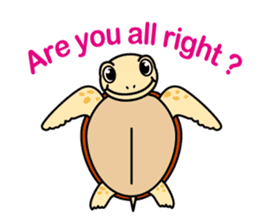 The baby sea turtles of Yakushima sticker #2533503