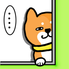 Shiba Inu san