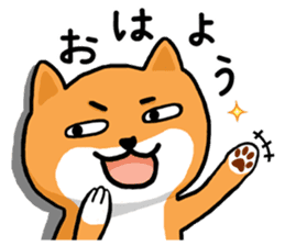 Shiba Inu san sticker #2534629