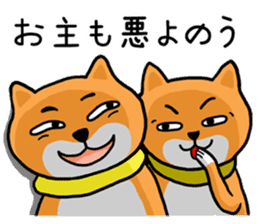 Shiba Inu san sticker #2534639