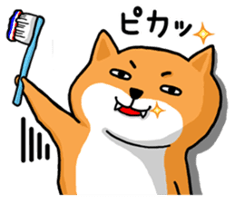 Shiba Inu san sticker #2534648