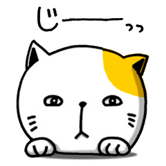 working a cat