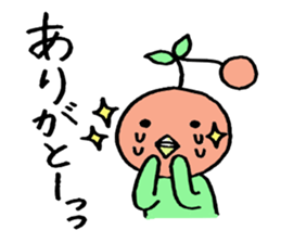 Everyday occurrence of fruit sticker #2536375