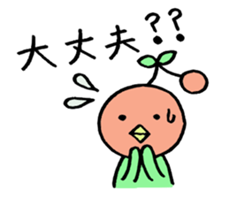 Everyday occurrence of fruit sticker #2536377