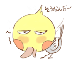 He is a Pico-chan Cockatiel sticker #2538205