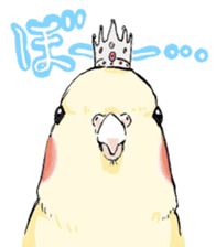 Bird King Sticker sticker #2539062