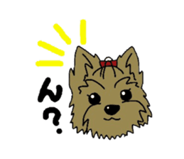 Yorkie every day(Part2) sticker #2539085