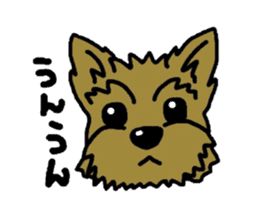 Yorkie every day(Part2) sticker #2539087