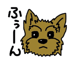 Yorkie every day(Part2) sticker #2539090