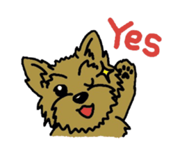 Yorkie every day(Part2) sticker #2539091