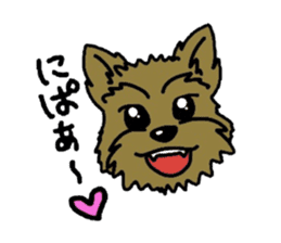 Yorkie every day(Part2) sticker #2539092