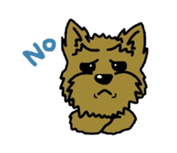 Yorkie every day(Part2) sticker #2539093