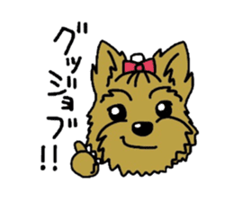 Yorkie every day(Part2) sticker #2539094