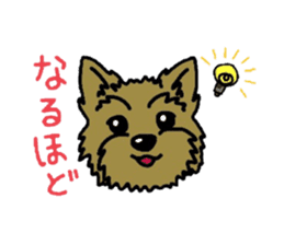 Yorkie every day(Part2) sticker #2539095