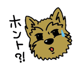 Yorkie every day(Part2) sticker #2539097