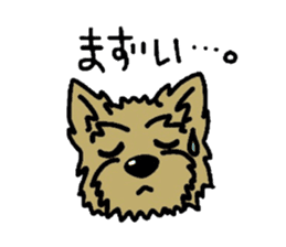 Yorkie every day(Part2) sticker #2539098