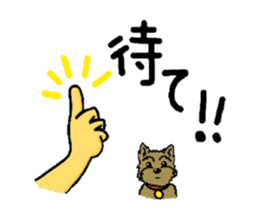 Yorkie every day(Part2) sticker #2539101