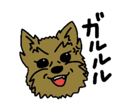 Yorkie every day(Part2) sticker #2539103
